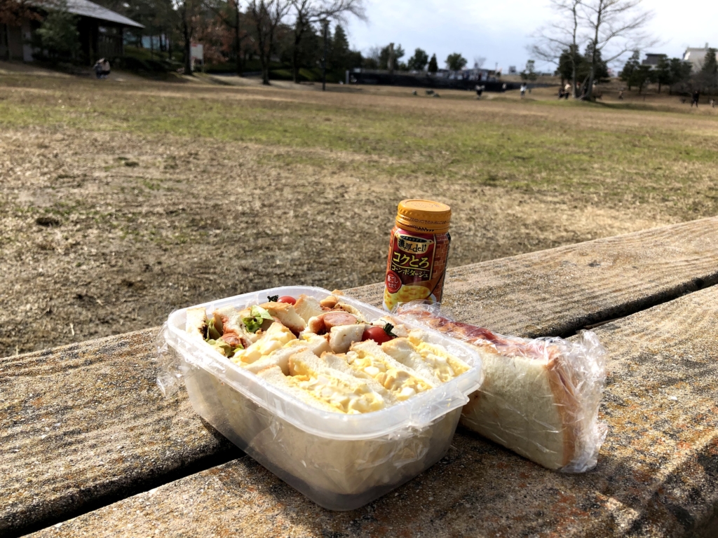 公園でPBJランチ